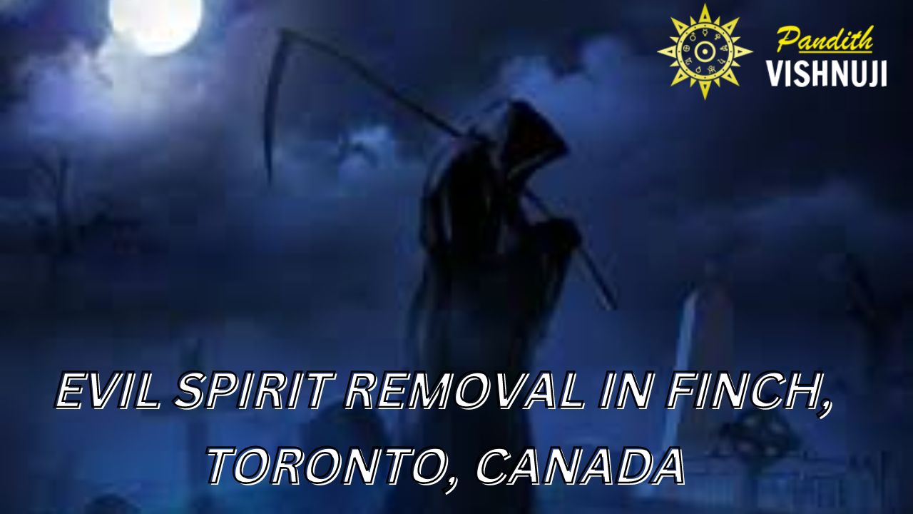 Evil Spirit Removal In Finch