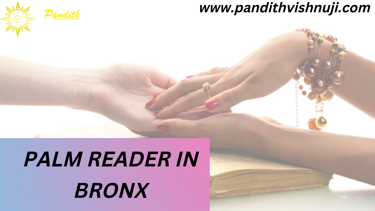 PALM READER IN BRONX